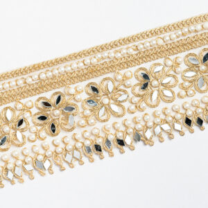 Gold zari mirror work border